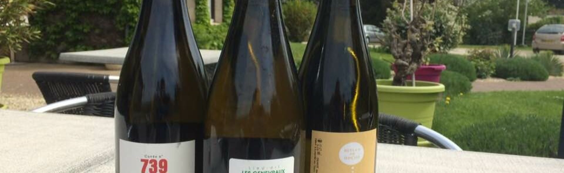sélection de vins